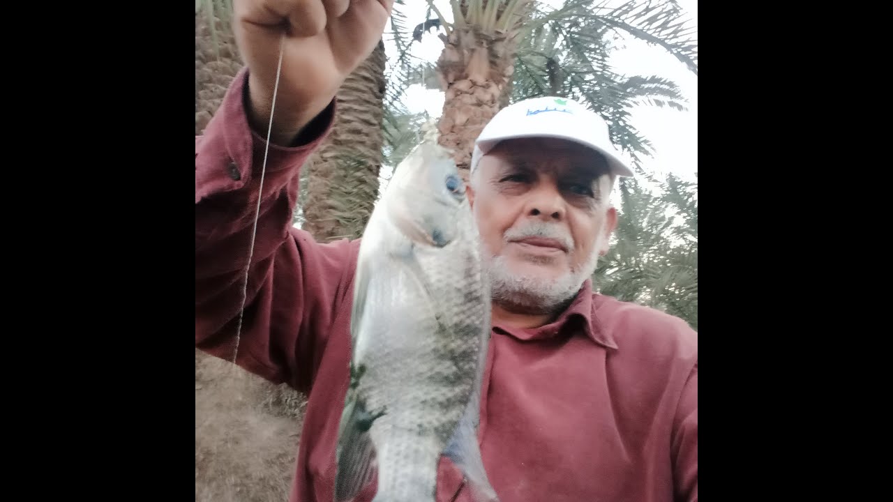 #شوف - البلطى # جن جنونه-لما أكل اليرقات & الليبنى/العياط ،ربنا يرزق الجميع ،،