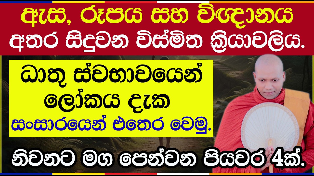 ඵස්සය සහ වේදනාව ප්‍රඥාවෙන් දකින අයුරු | Hasalaka Seelawimala Thero | 3026