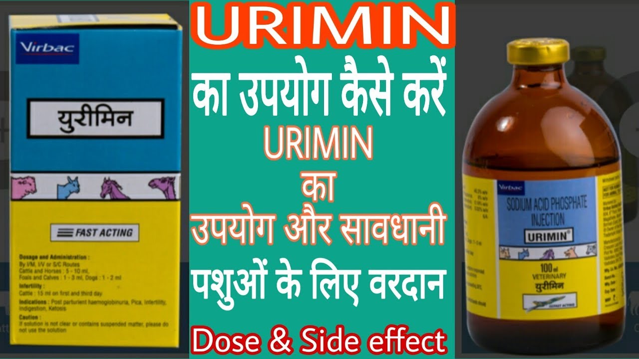 URIMIN injection | sodium Acid phosphate injection | infertility | ketosis | milk fever | urimin inj