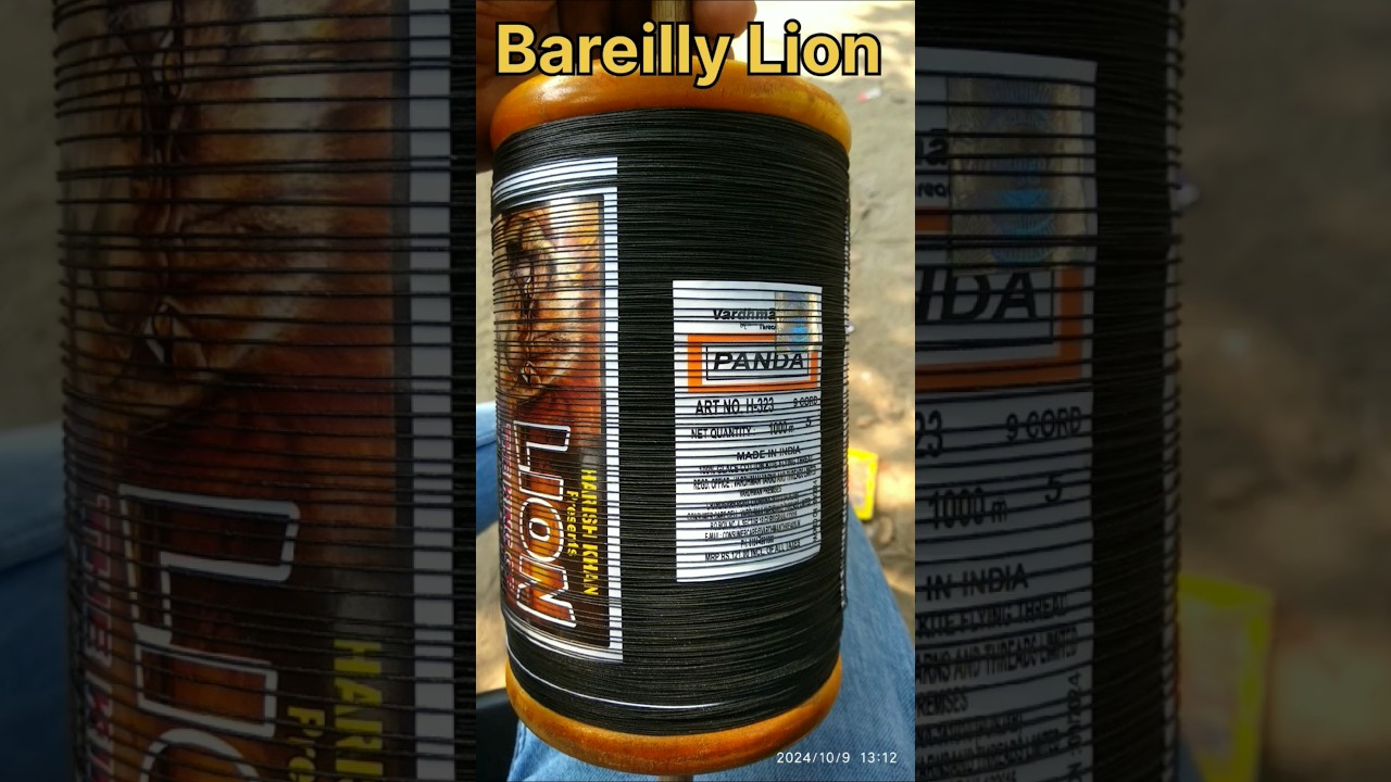 Bareilly ka lion 💯✓ panda manjha tasting 🧵||  #manjha #lion #reels #8400manjha
