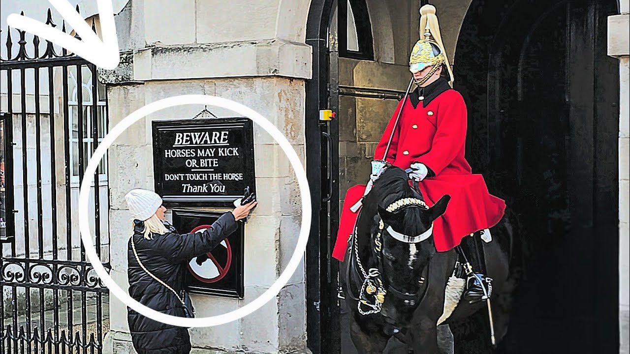 After Touching the Sign She Made Mistake & King's Guard Reacted It is Not Allowed - at Horse Guards