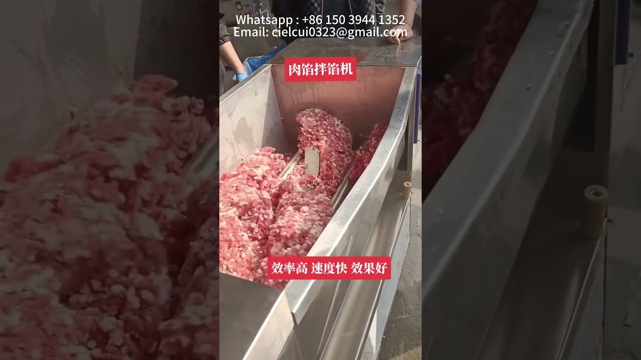 Stainless steel double bearing meat mixer #mixer #machine #food
