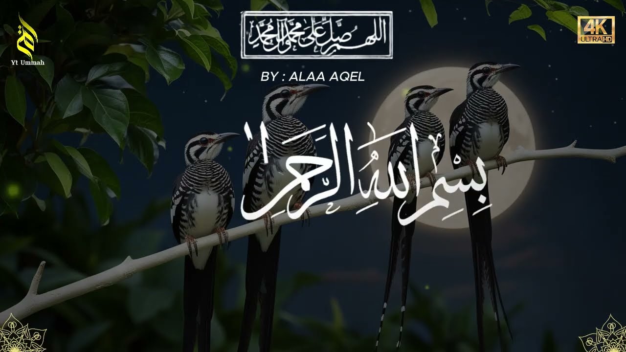 Quran recitation in a peaceful voice I ayat al kursi, yasin, alkahfi, alwaqiah, arrahman, Alaa Aqel