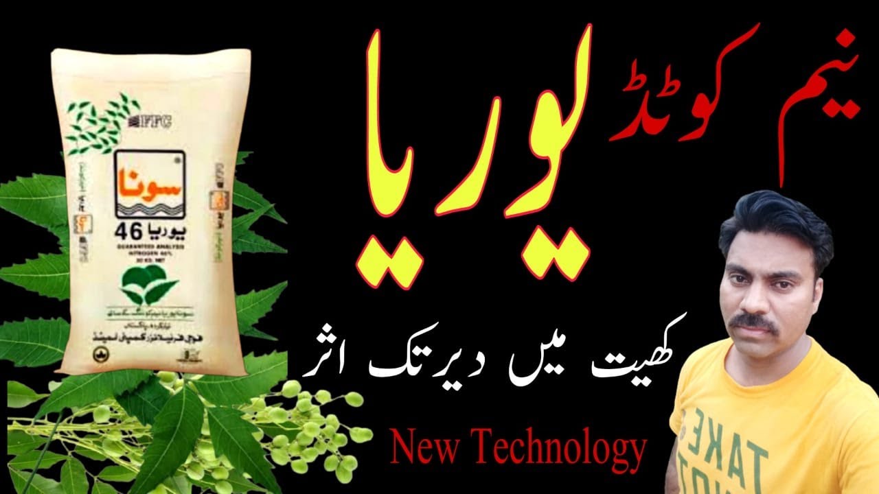 Neem coated Urea |What is Neem coated Urea |How to use Urea fertilizer in crops |Urea losses control