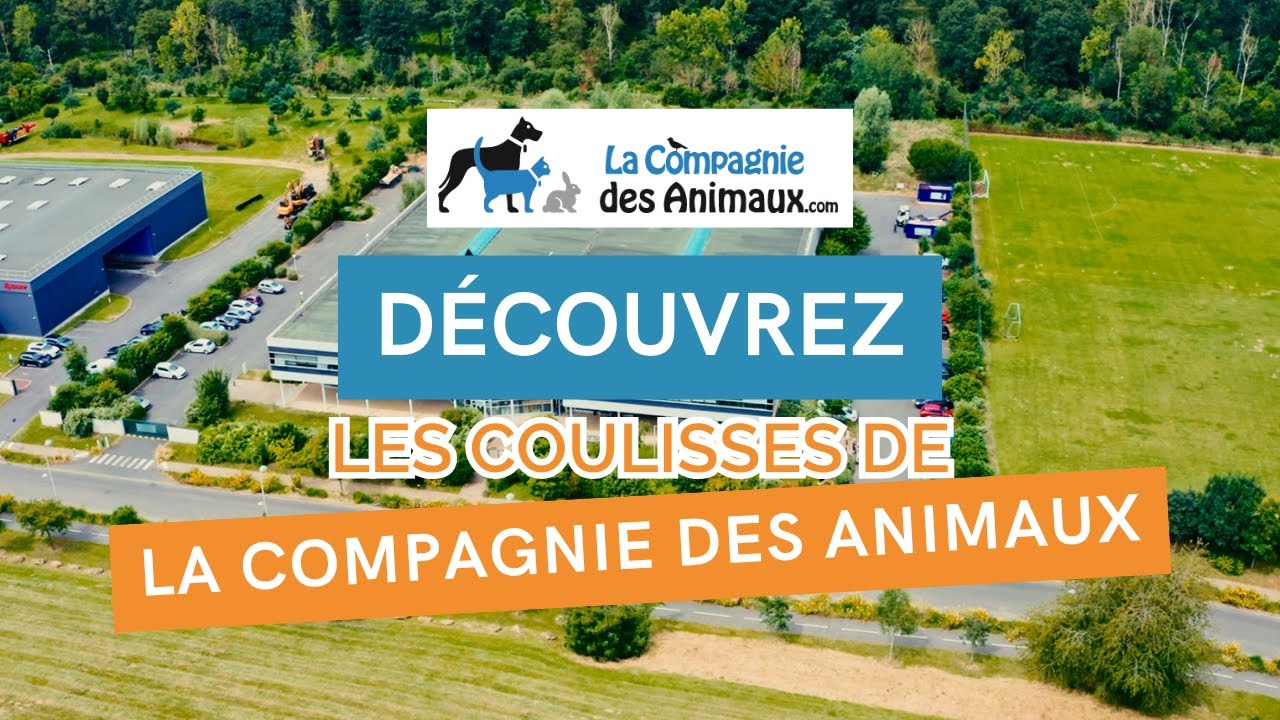 La Compagnie des Animaux - Découvrez nos coulisses 🐾