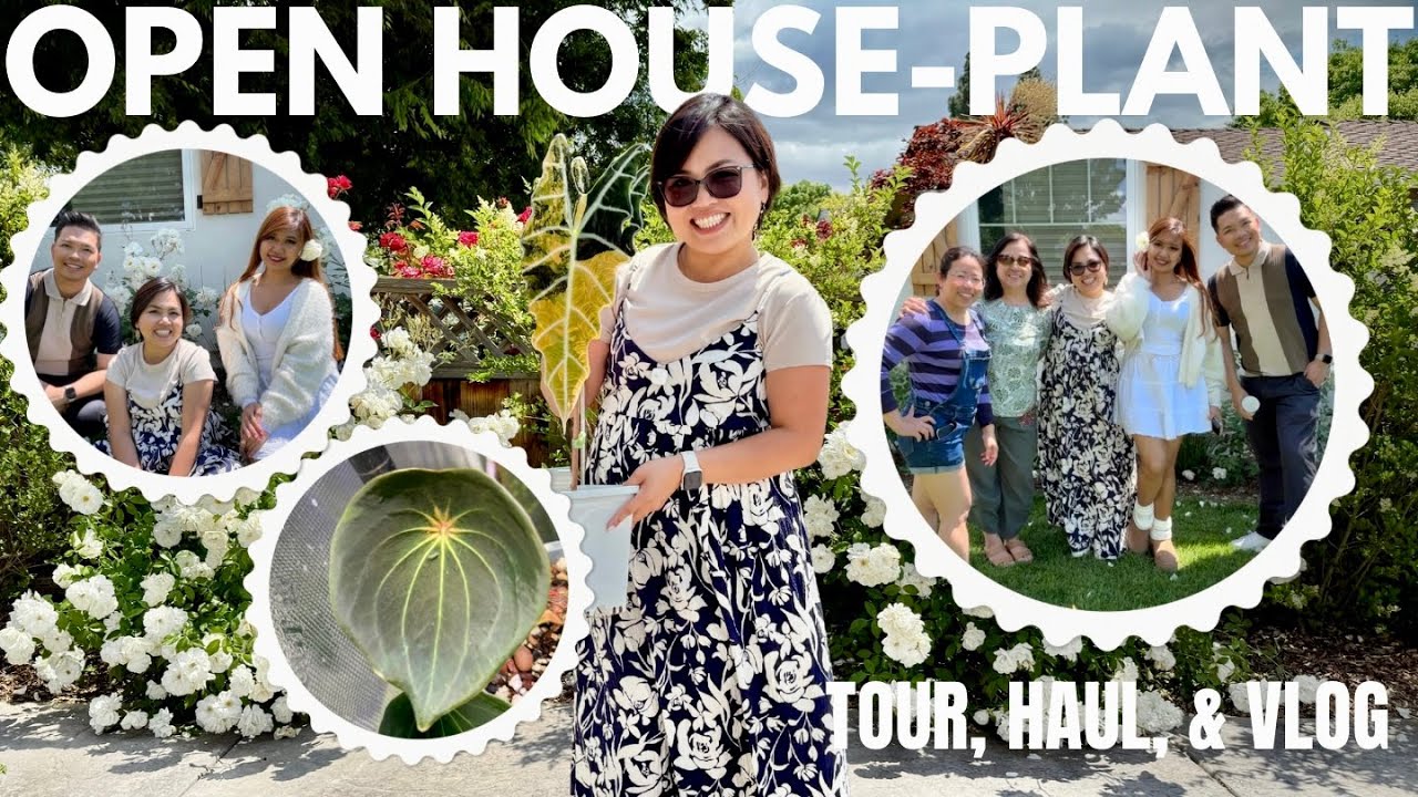 Open House Plant Event 🌿 | @Lina Punches Rare Anthuriums Plant Tour, Plant Haul & Good Vibes