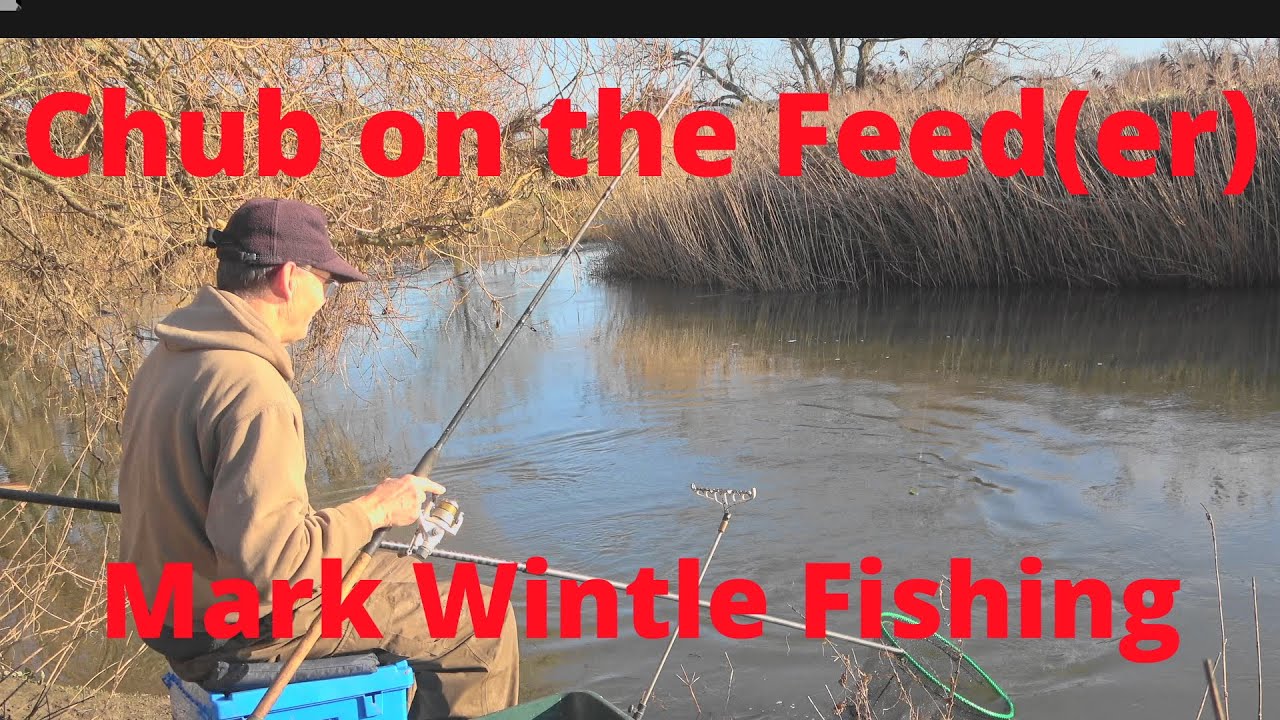 Chub on the Feed(er)