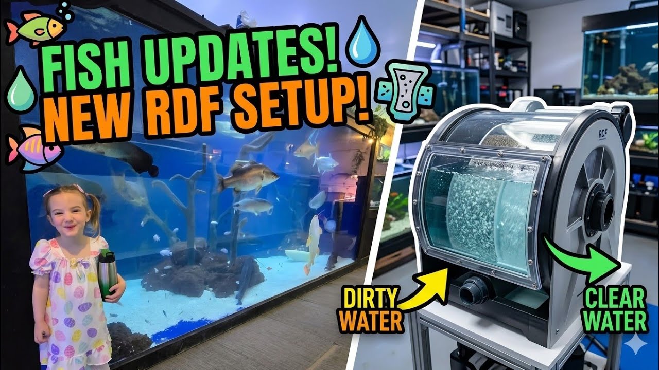Josh sets up the Newest Rotary Drum Filter and Fishy Updates! 