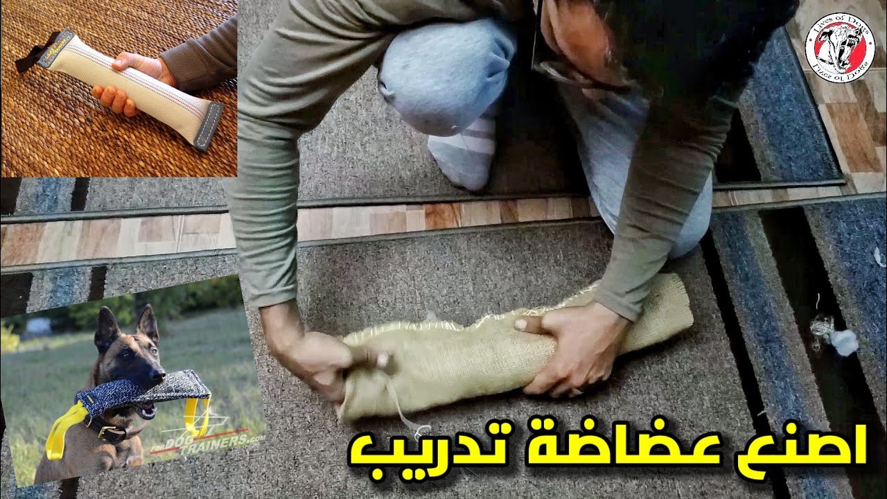 اصنع بنفسك عضاضة تدريب الكلاب على الشراسة