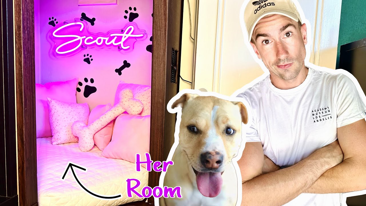 Designing a BEDROOM FOR MY DOG inside my DREAM CLOSET! | EXTREME RENTAL APARTMENT MAKEOVER