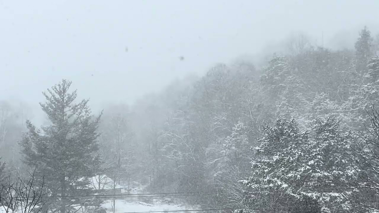 Cosmic Academia Music in a Real Winter Blizzard & Snow in the Forest
