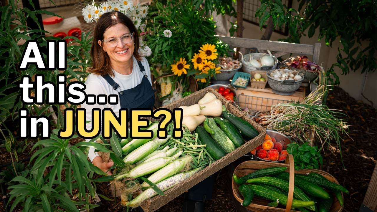 JUNE PLANTING & HARVEST GUIDE: Veggies + Flowers for the Heat