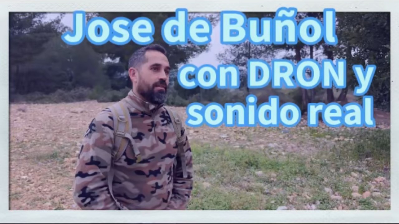 Podencos cazando a diente en zona de adiestramiento, grabado con dron y sonido real