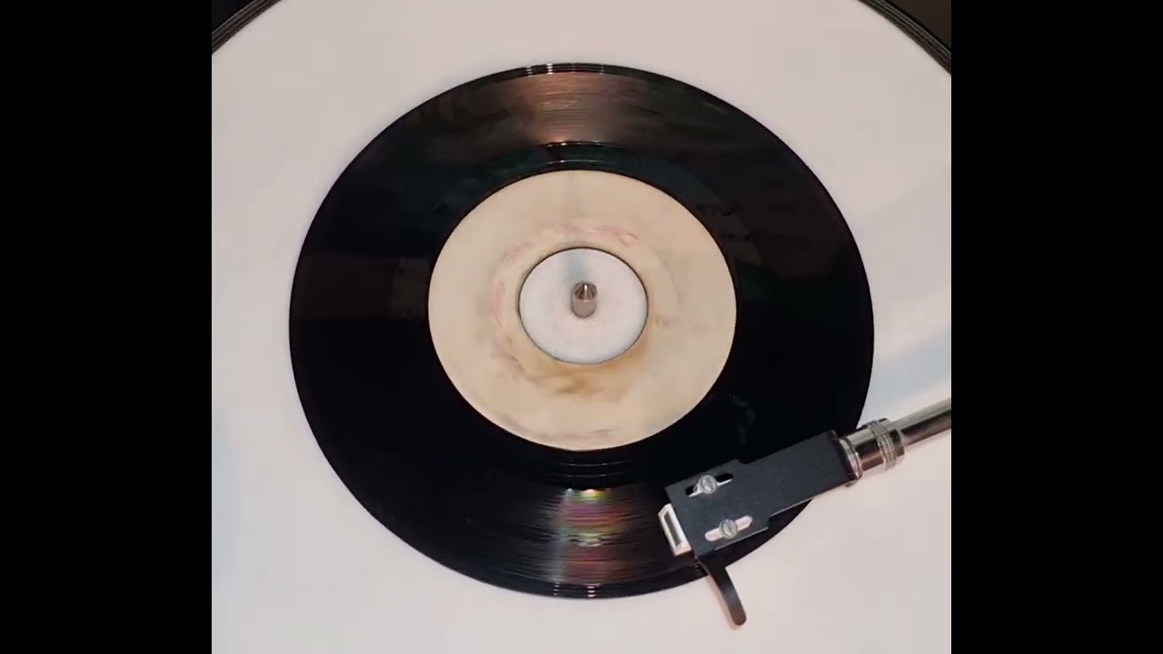 The Maytones - Dig Away Di Money