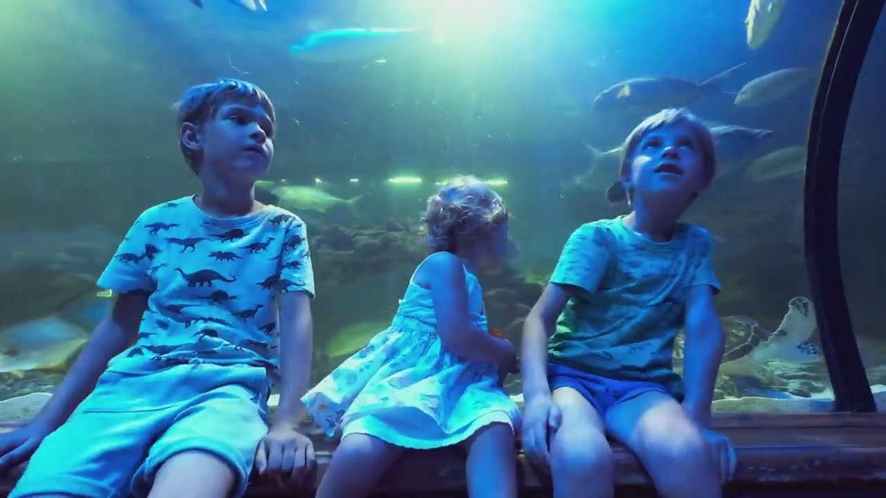 Top 5 Family-Friendly Things to do in Singapore   | Ultimate Travel Guide 2025