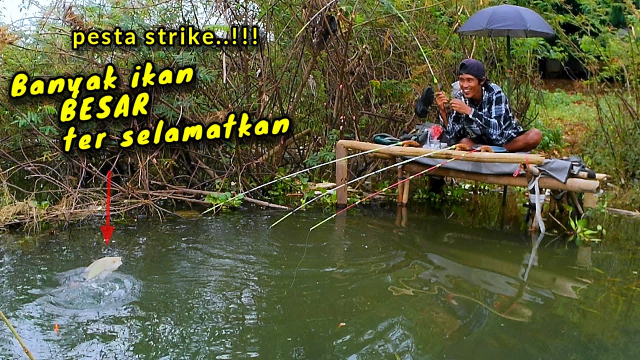 Alhamdulillah Dapat ikan BESAR BESAR spot mancing pinggiran mancing Cirata terbaru..!!!
