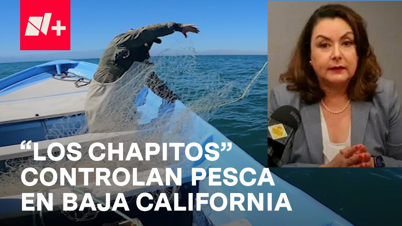 Extorsión a pescadores: ¿Asesinato de directora de CANAINPESCA favorecería a 