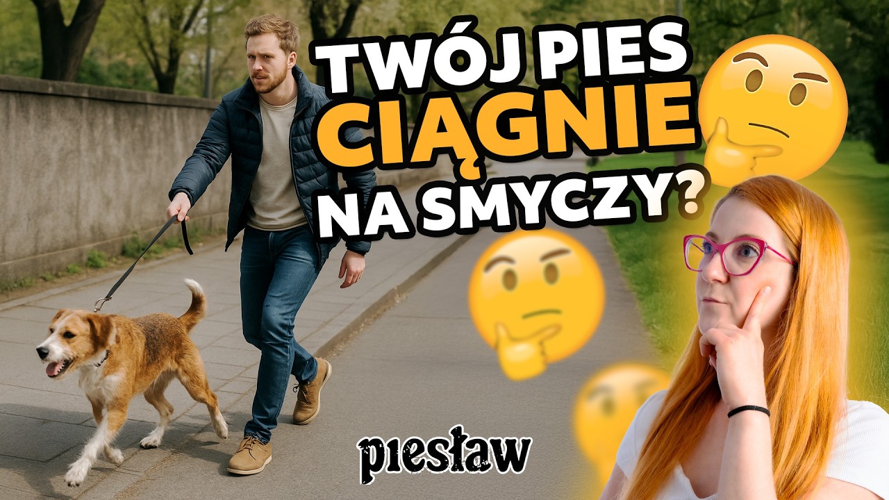 Twój pies CIĄGNIE na smyczy? Zobacz, jak to naprawić! 🐶✨