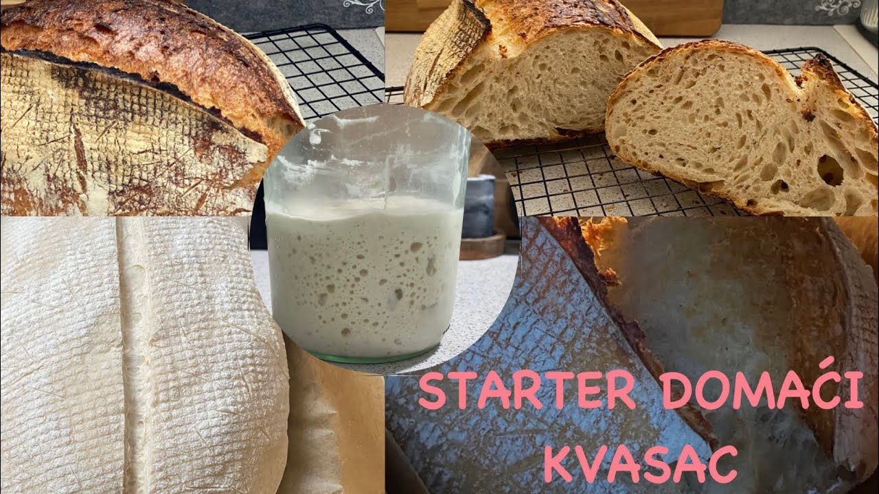 STARTER DOMACI KVASAC. ‼️DETALJNO ‼️