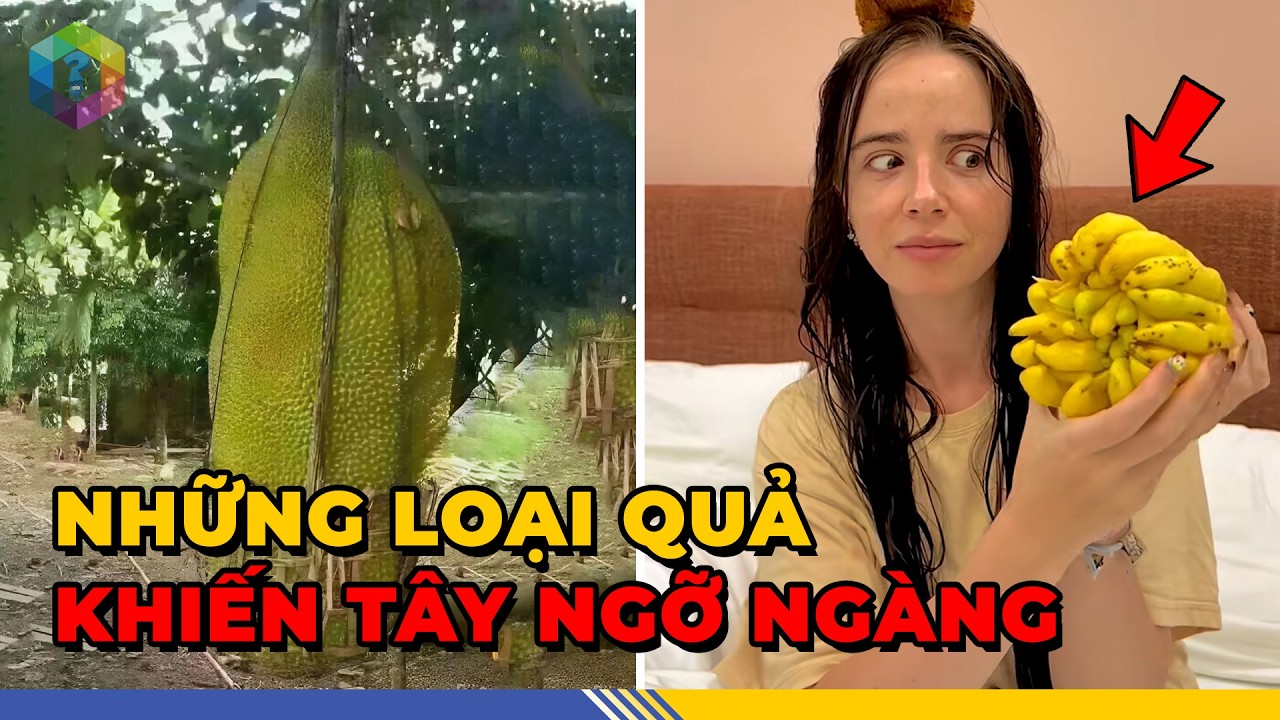 Quốc Tế Bất Ngờ 14 Loại Quả Việt Vào Danh Sách KỲ LẠ NHẤT THẾ GIỚI - Top 1 Khám Phá