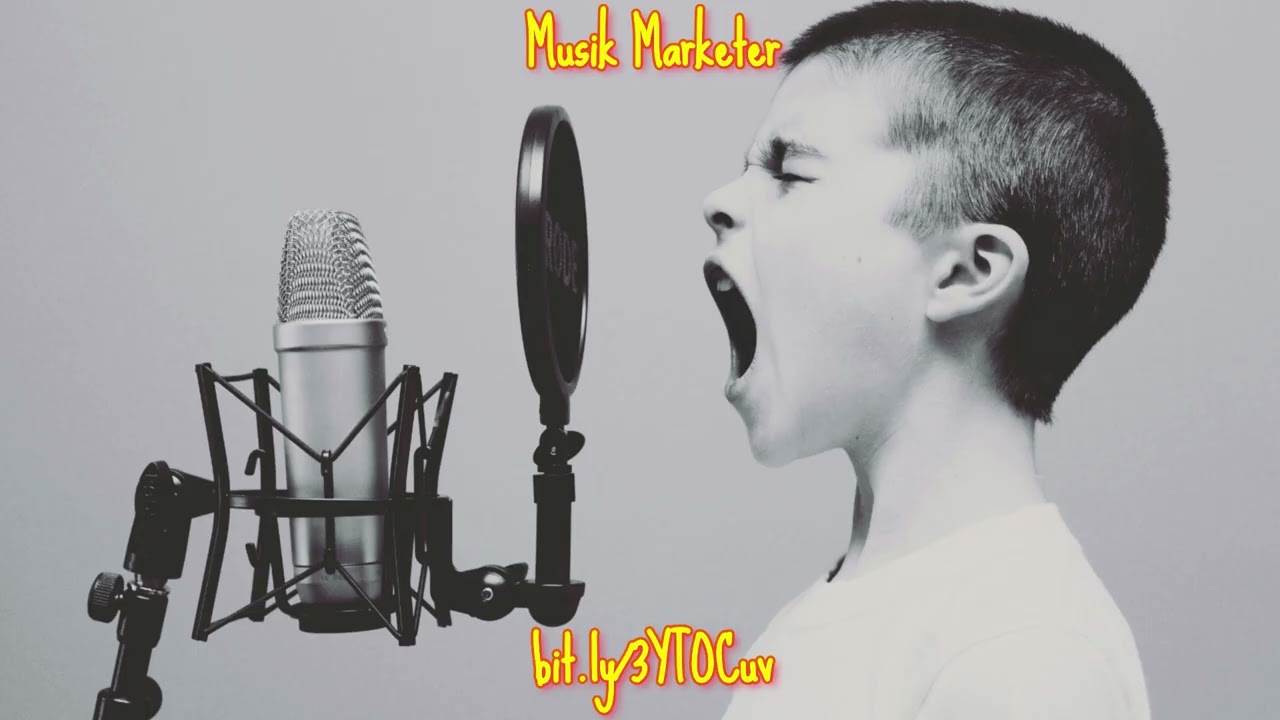 🎵 **Die Revolution der Musikbranche: Der KI-Musik-Marketer**