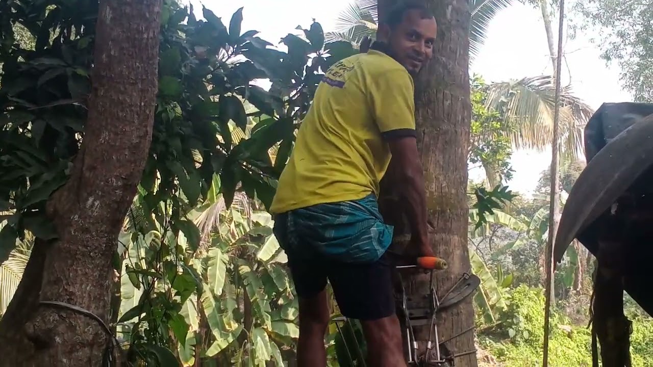 ১৯ জানুয়ারী, ২০২৬