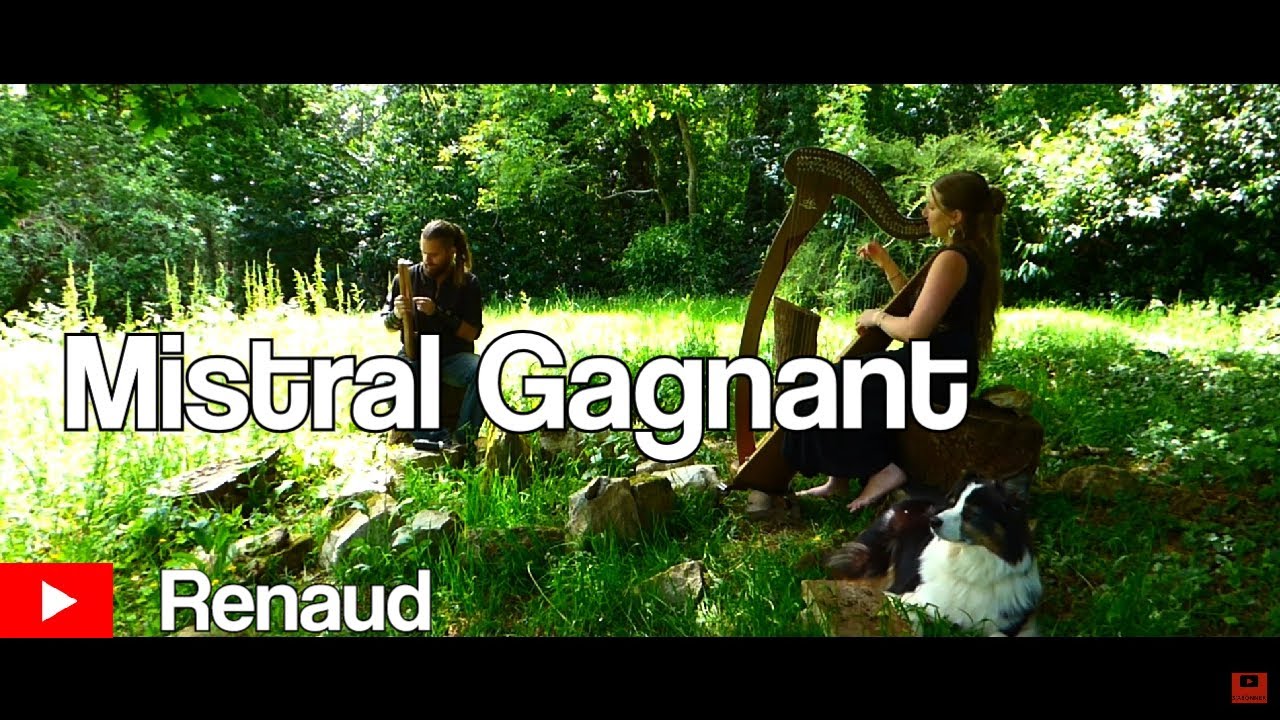 Mistral Gagnant (Renaud) : harpe celtique et lyre - Harp Celtic and Lyre Video / Live