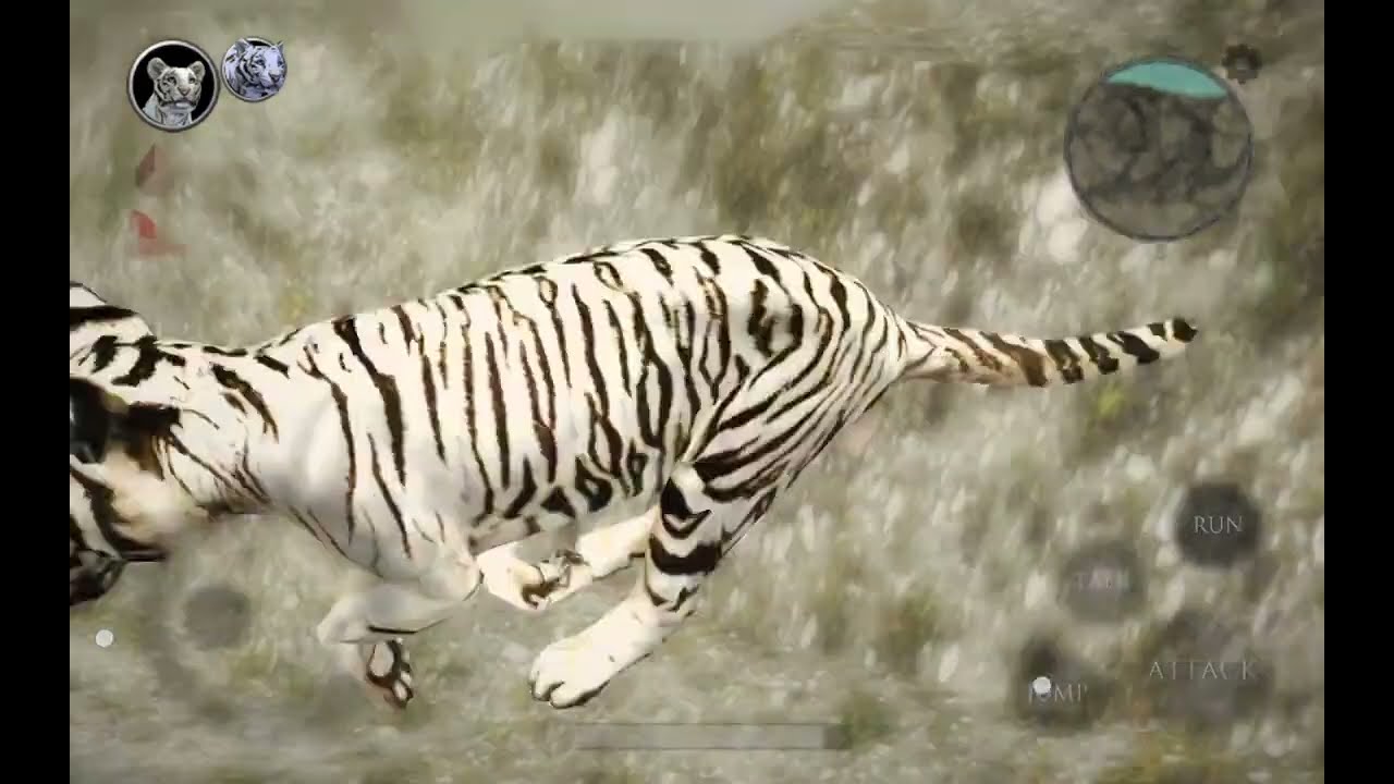 Ultimate Tiger | Falling cub Glitch!