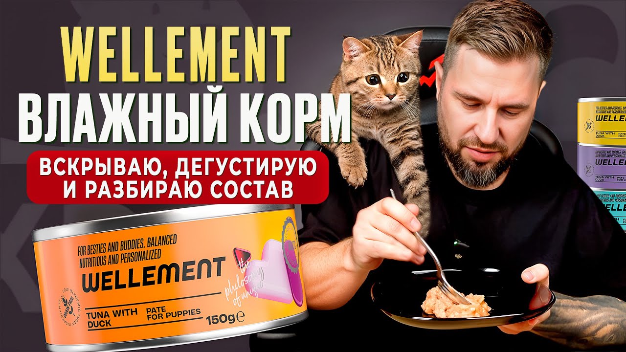 WELLEMENT влажный корм — вскрываю, дегустирую и разбираю состав! | Хвостатый Питомец
