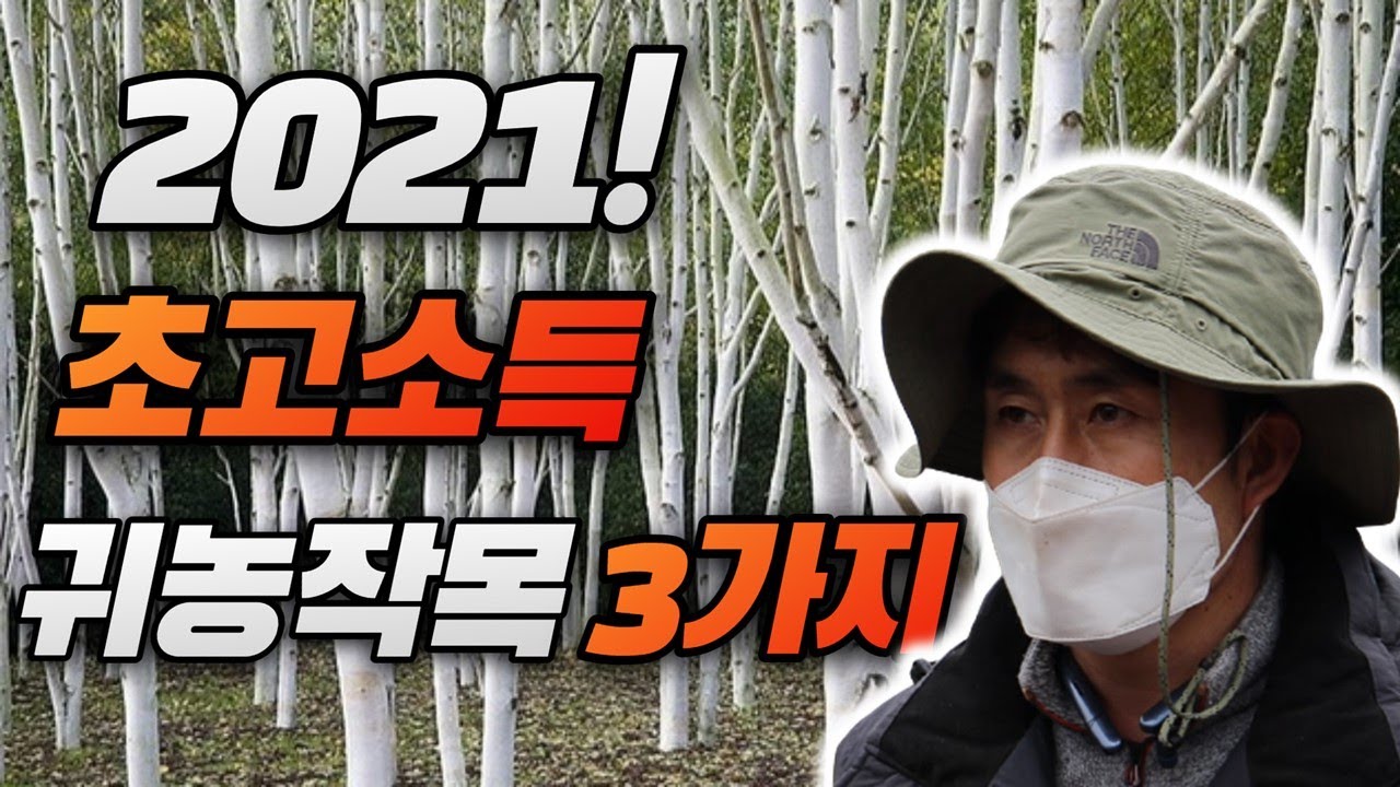 2021 초고소득 귀농작목 3가지 대공개🌲