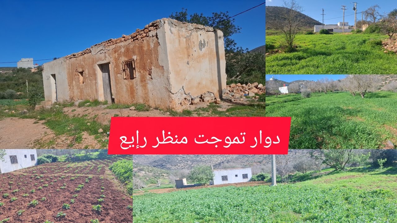 أجواء رإيع اليوم دخلوا تفرجوا 🌿☘️