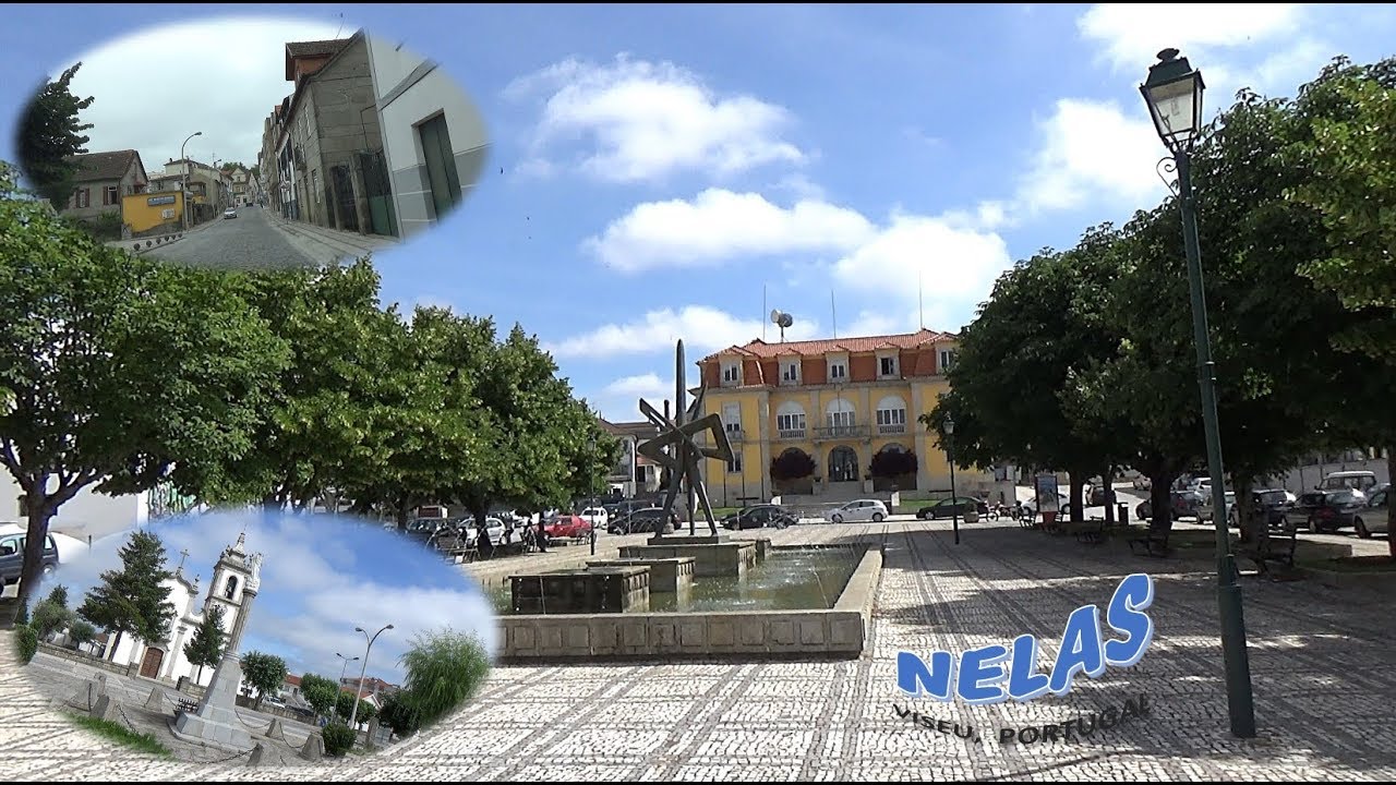 NELAS, Viseu