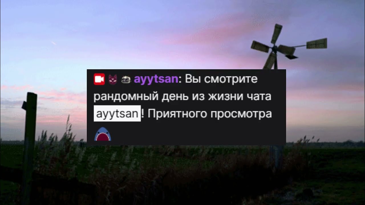 Рандомный день из жизни чата ayytsan