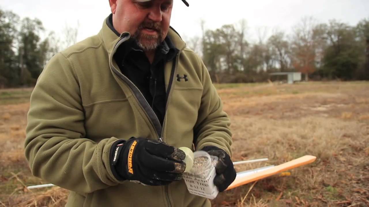 How-to Plant Trees for Wildlife and Hunting - The Management Advantage #26