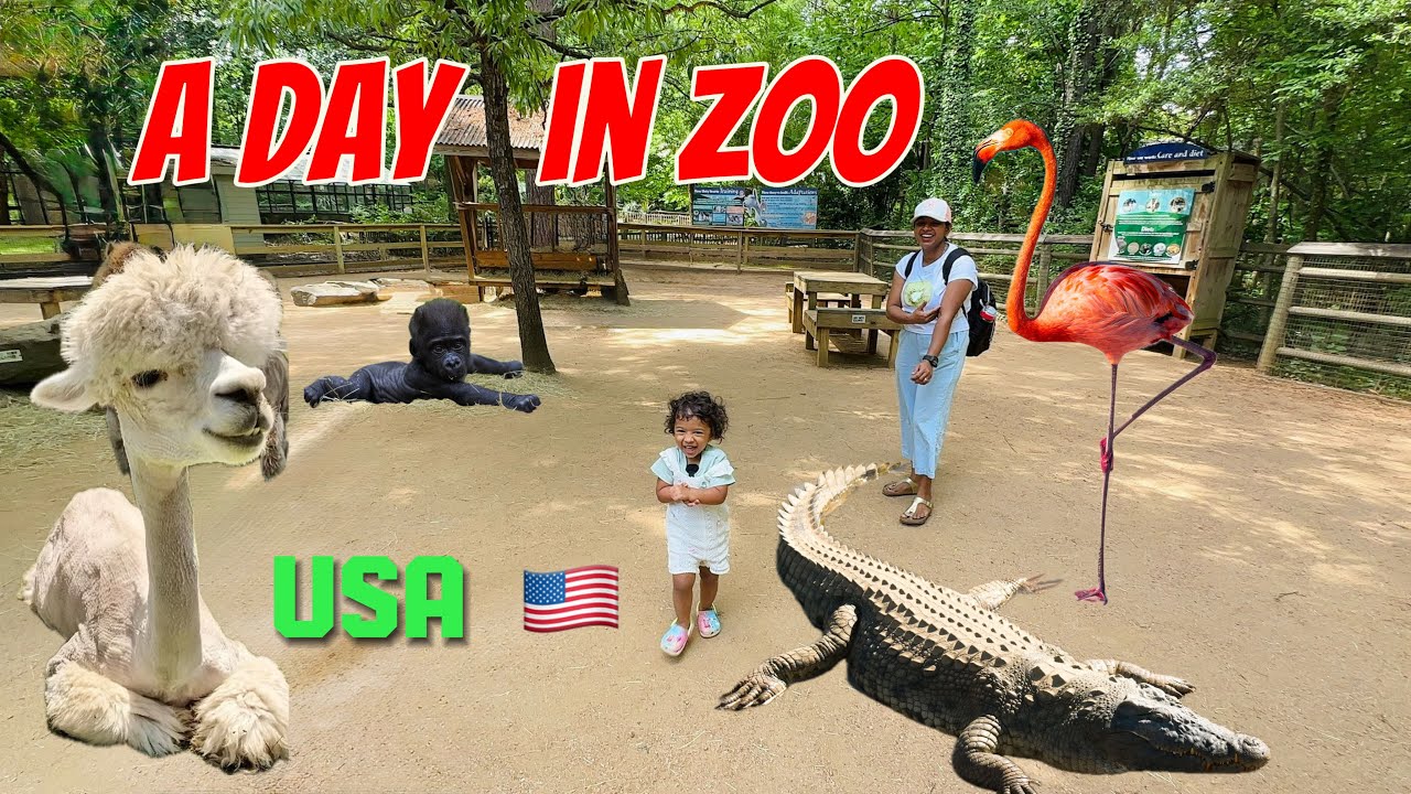 A day in Gerogia’s Biggest Zoo 🇺🇸 | Zoo കാണാൻ പോയതാ പക്ഷെ..
