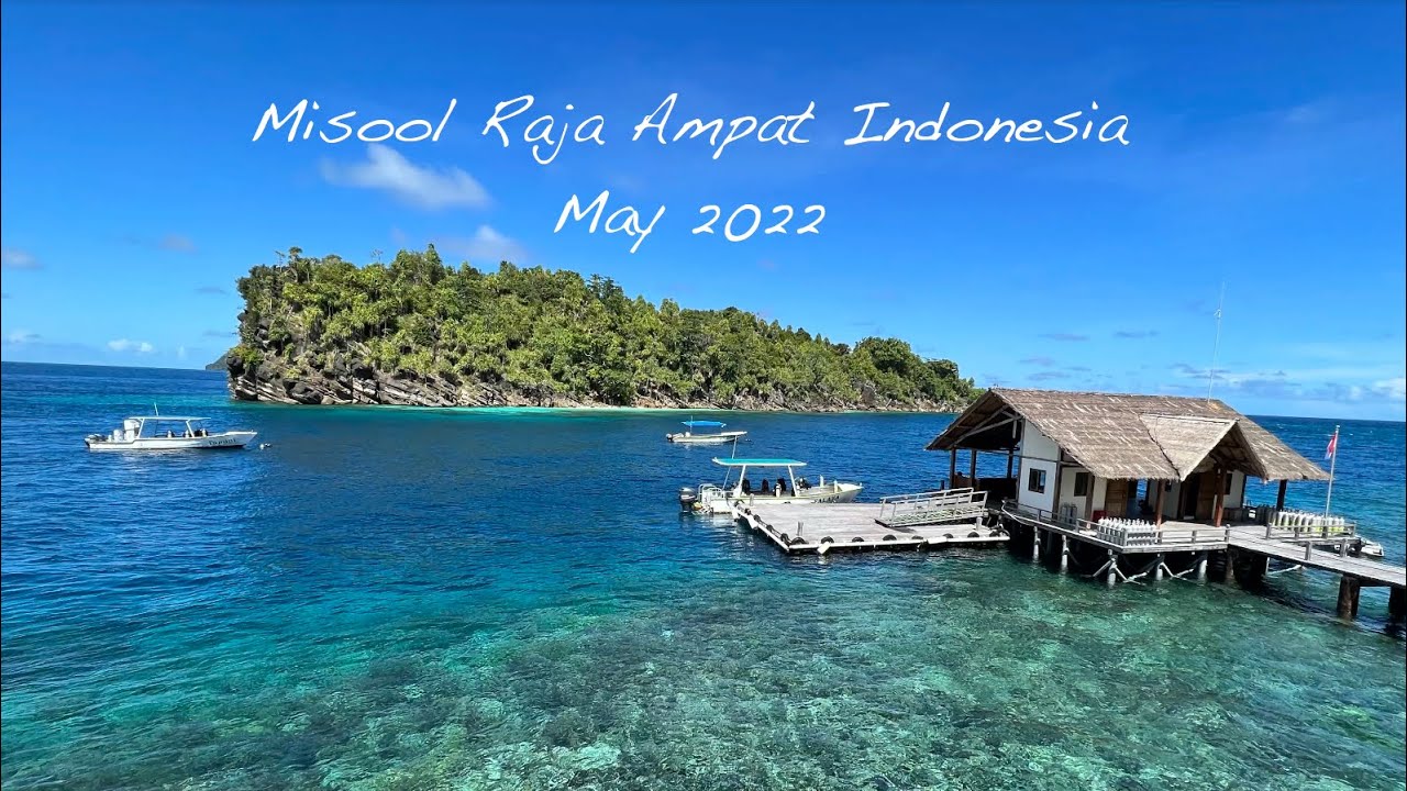 Misool Raja Ampat Indonesia May 2022