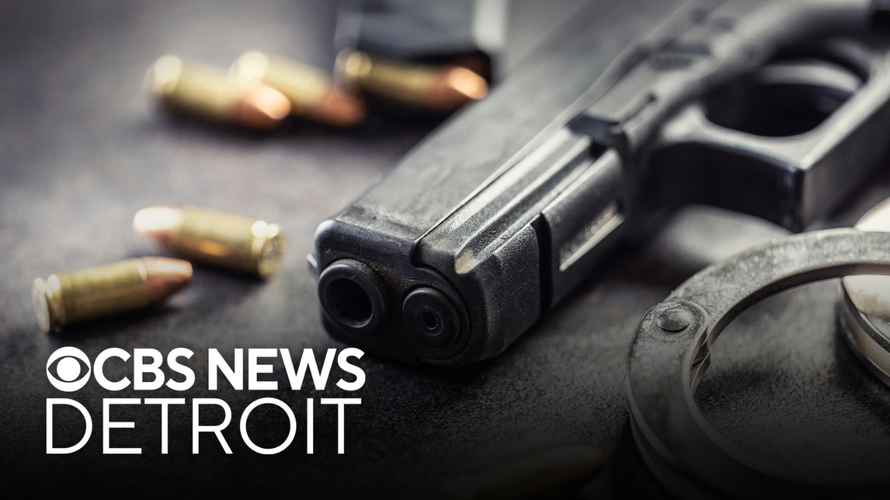 Michigan lawyer seeks to restore gun right for non-violent felons