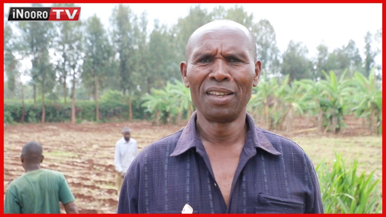 Uge wa mũingĩ wĩgiĩ Mbura, ũrimi na ũcenjia wa rĩera, Thika, Kiambu #UgeWaku