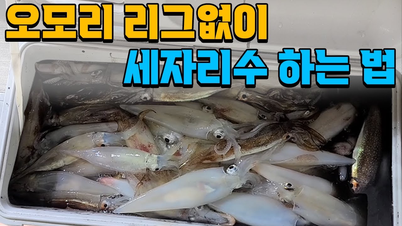 한치낚시 조과를 2배 올리는 방법 (Feat. 초보도 세자리 할 수 있는 꿀팁)