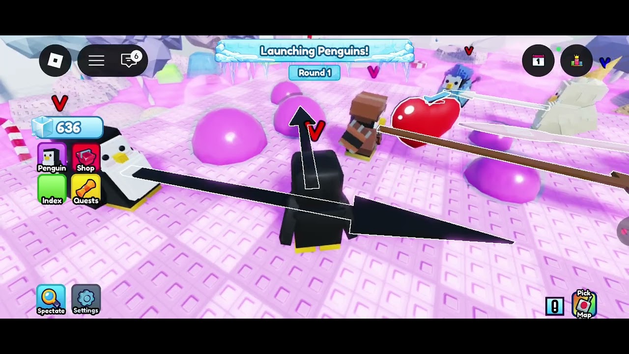 I play knockout 