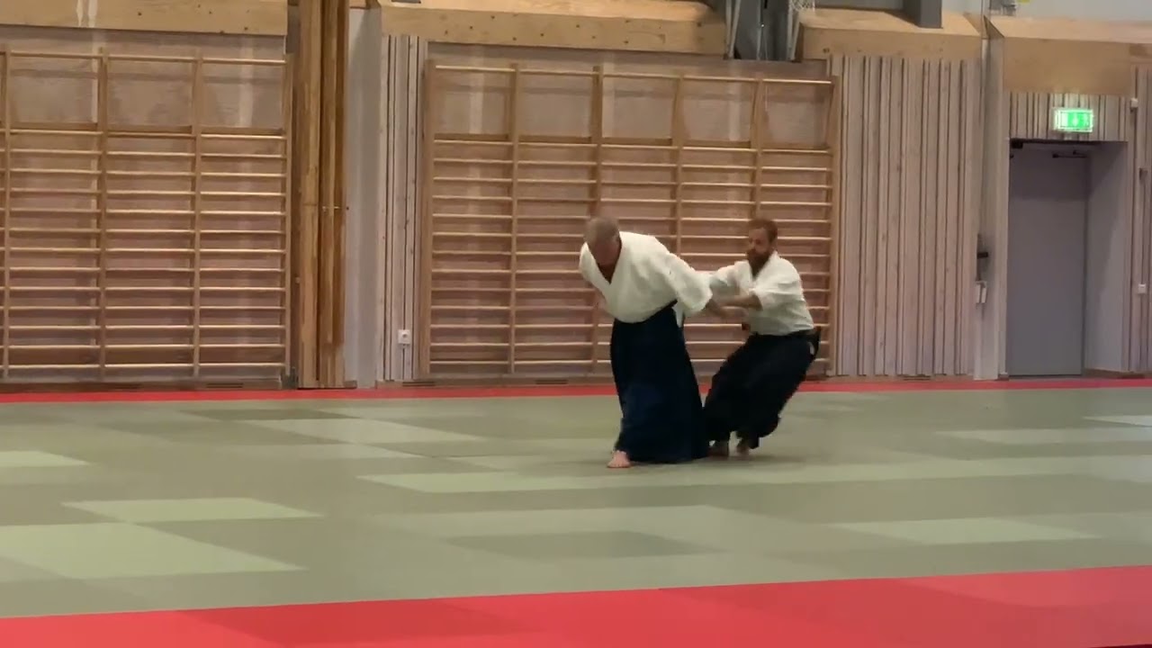 Sverigelägret 2022 - Vanadis aikido dojo