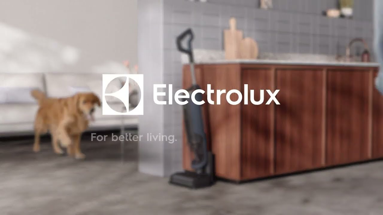 Electrolux - Ultimate 800 Wet & Dry | EW81U3DB