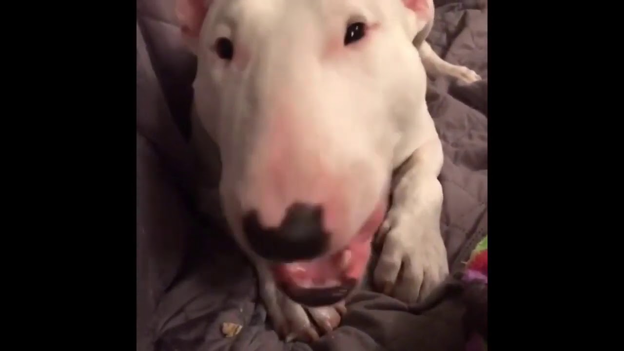Walter-eating-walter