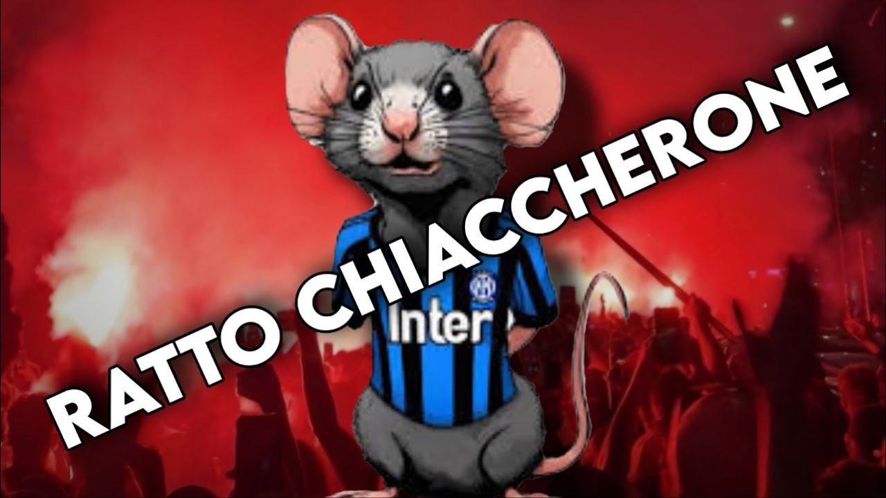 CESSO NEROAZZURRO | RATTO CHIACCHERONE
