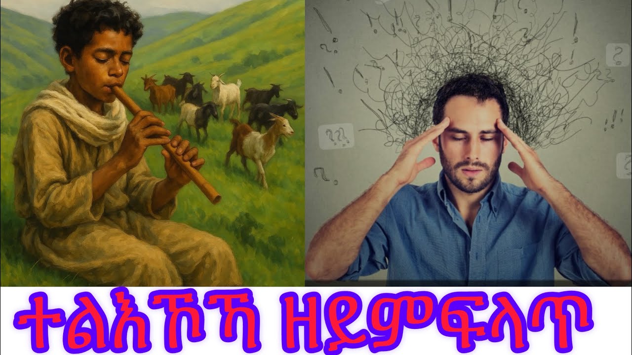 Efivision for Eritrean and Ethiopian: ኣብ ውሽጥናተሰኪምናዮ ዘለና ንፈትሽ