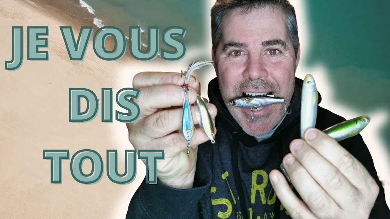 JE VOUS DIS TOUT : comment pêcher le loup en mer