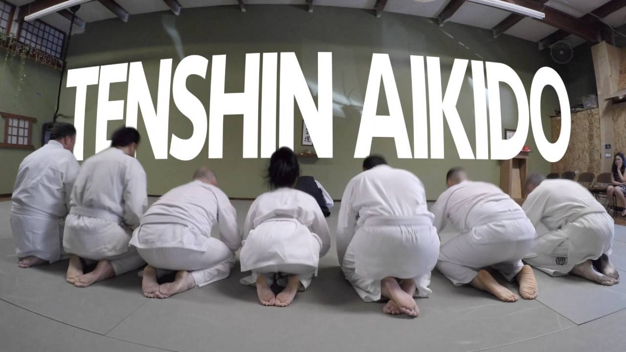 Tenshin Aikido and gopro with Jaime Calderon Sensei