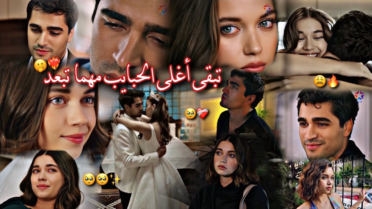 فريد وسيران - تبقى أغلى الحبايب 🤍 || نوال الزغبي || الطائر الرفراف || Ferit ve Seyran | Yalı Çapkını