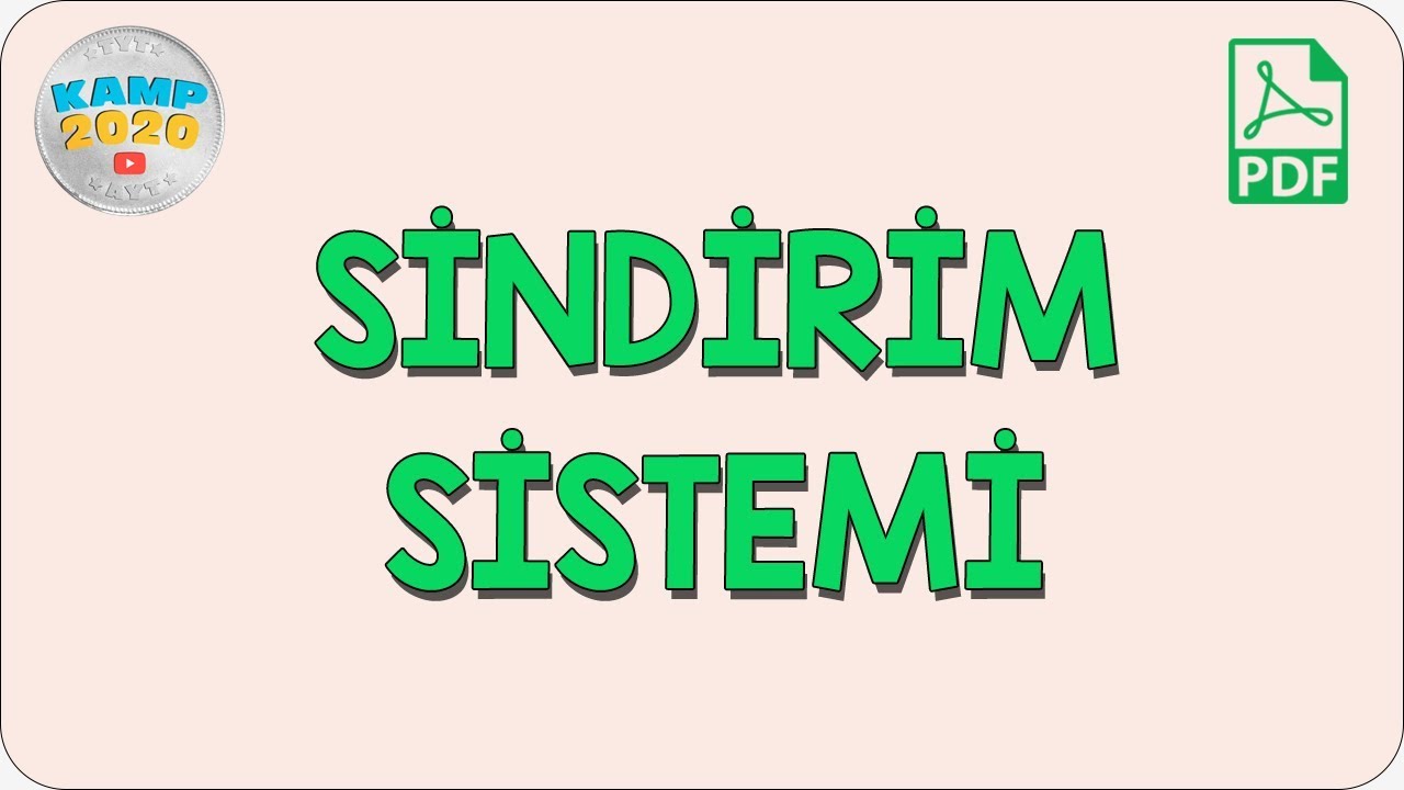 Sindirim Sistemi | AYT Biyoloji 2020