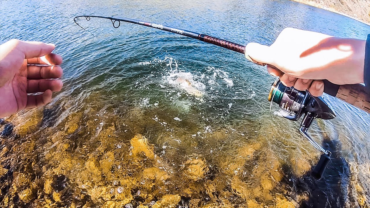 Giant Desert Trout GALORE (Solo Early Spring Trout Fishing)